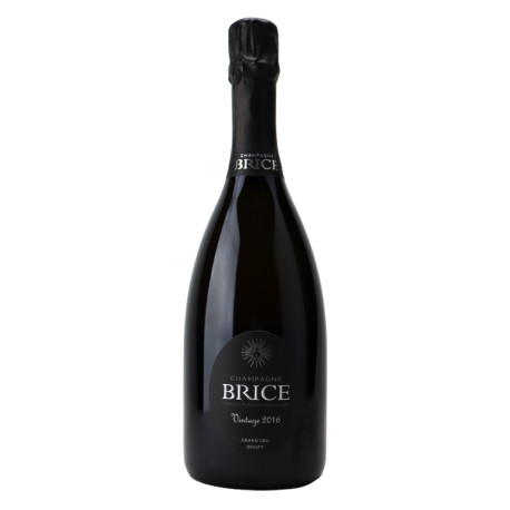 Champagne Brice Bouzy Grand Cru Millésimé 2016