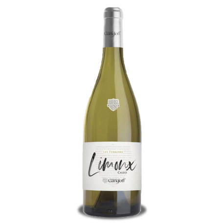 Limoux Caleo Blanc 2019 domaine Guillaume Gangloff