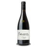 Faugères Noctambule Rouge 2019 domaine Guillaume Gangloff