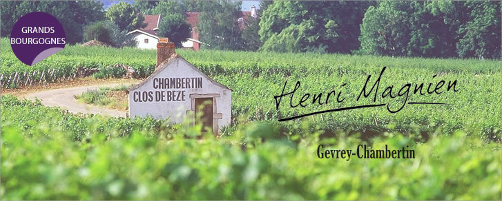 Domaine Henri Magnien