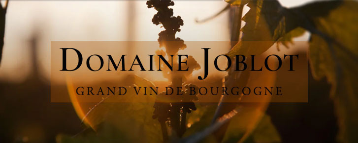 Domaine Joblot