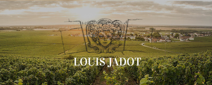 Maison Louis Jadot