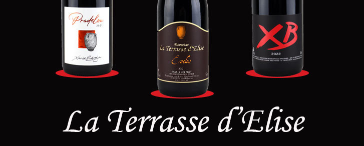 Domaine La Terrasse d'Elise