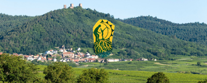 Domaine Ostertag