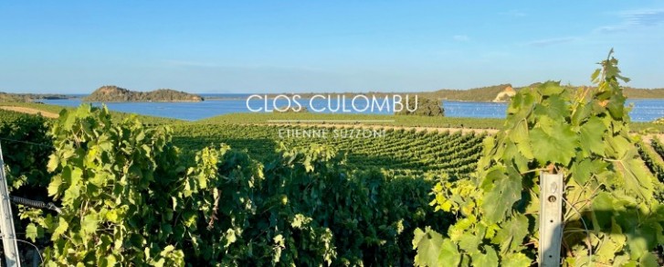 Clos Culombu