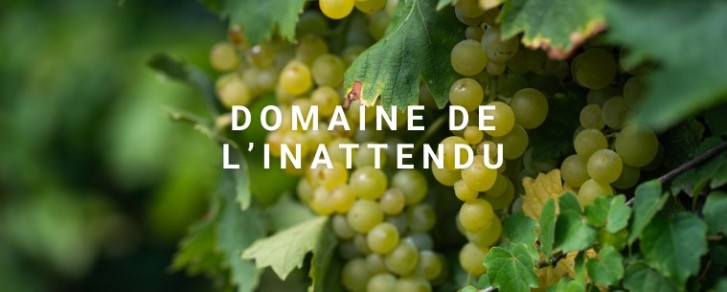Domaine Roche & Domaine de l’Inattendu