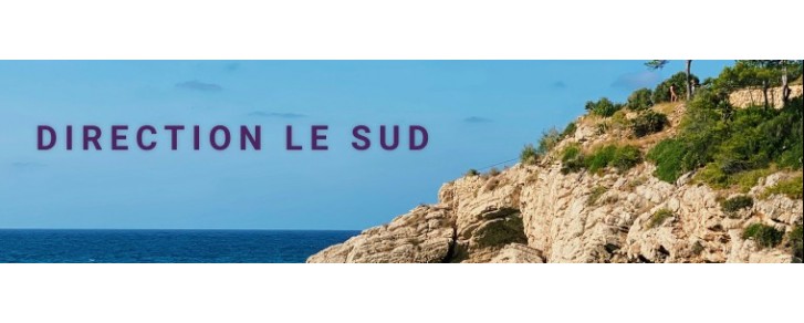 Vignobles du Sud