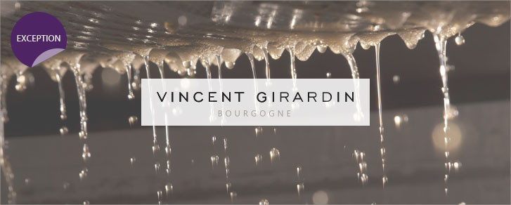 Domaine Vincent Girardin