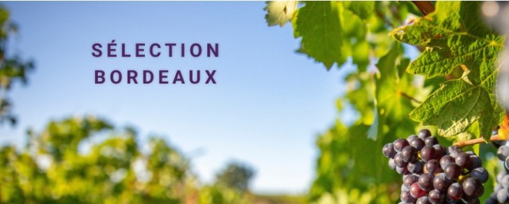 Sélection de vins de Bordeaux