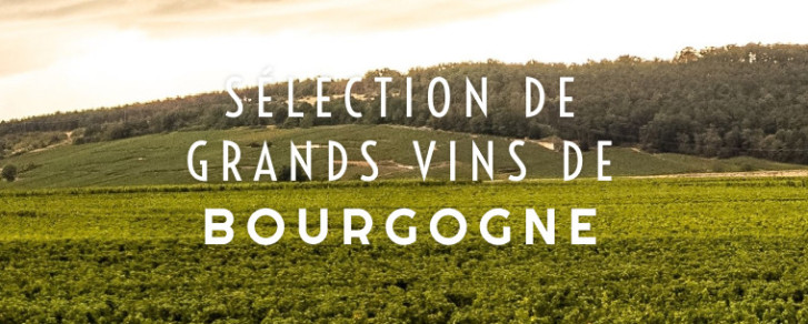 Les Grands Vins de Bourgogne