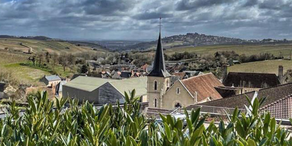 Le Vignoble de Sancerre : Terroirs d'exception et vins authentiques