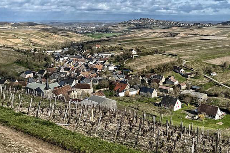 Le Vignoble de Sancerre : Terroirs d'exception et vins authentiques